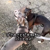 3兄弟は仲良し♪