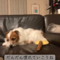 少し緊張が解けたかな？