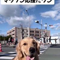 マラソン応援に行くことも♪