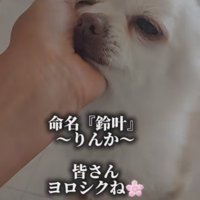 新しい名前とともに…