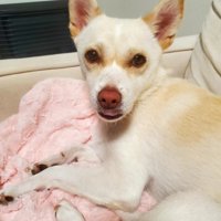 普段はお利口なお姉さん