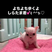 少しずつ成長しています♪