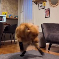 「ひえ～！！」