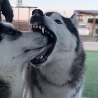 3年経ってもやっていることは同じ！