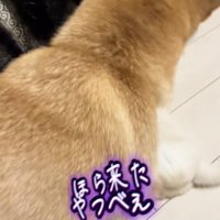 お母さん襲来