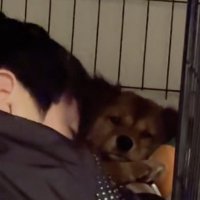 「入りすぎ…」