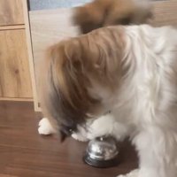 颯爽と登場