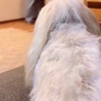 奥様からご主人への贈り物…