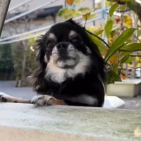 まる君とお姉ちゃんの再会8