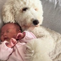 赤ちゃんのことも大好き