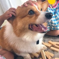遊びの途中で参戦！