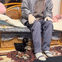 くぅちゃんとおじいちゃん2