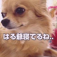 ずっと寄り添っていた