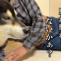 不快そうな表情に