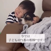 満面の笑みで犬にくっつく男の子