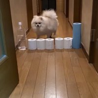 どうやって突破する？？