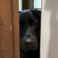 「僕を置いてくの…？」