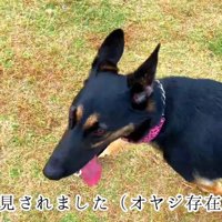 ほっと一安心♡