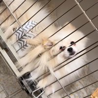 木ノ葉丸くんとの出会い6