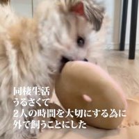 同棲を始めたのに…