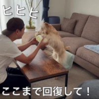 嬉しさがこみ上げる大地さん