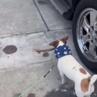 帰宅したバディくん