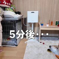 粘りに粘って…