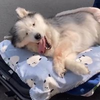 嬉しくて満面の笑みに♡