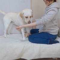 きなこちゃんとママさんの再会6