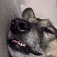 穏やかな寝顔♪