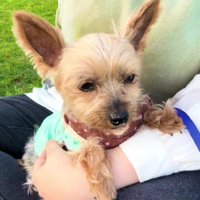 のんびりが一番好き♡