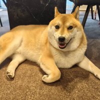 のんびり