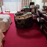 回転するように前方へ