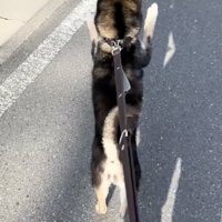 大好きなおじいちゃんと遭遇