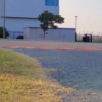 突如として「拒否柴」に…
