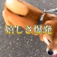 喜ぶ犬2