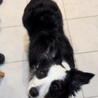 「また会えるかな？」