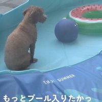 「もっと遊びたかったのに…！」