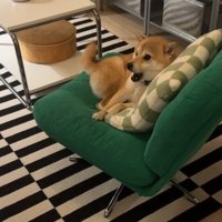 家族をお出迎え