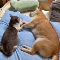 これからも元気に育ってね！