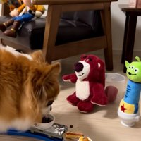 おやつを食べるラピくん