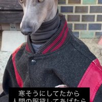 海外モデルのよう…！