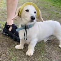 たくさんの思い出ができたね