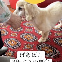 おばあちゃんのこと、絶対に覚えてる