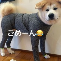 小さすぎる服に爆笑♪