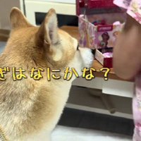 「次はどんなのがくるかな？」