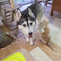 「構ってくれない！！」