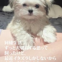 イタズラばかりするから…