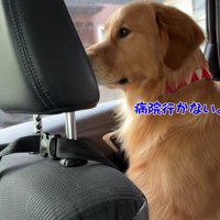 車でお出かけへ