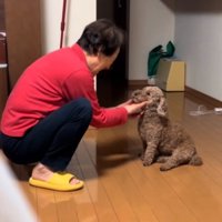 顎の下を撫でる